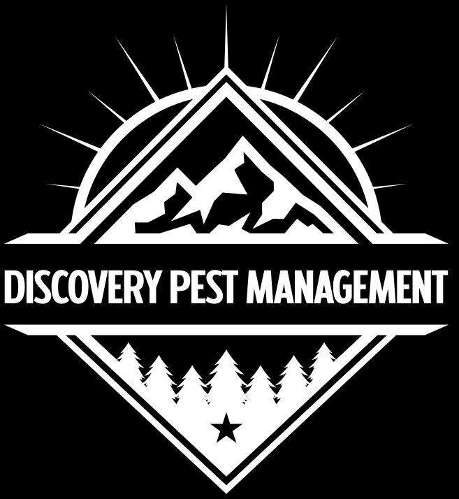 Discovery Pest Management